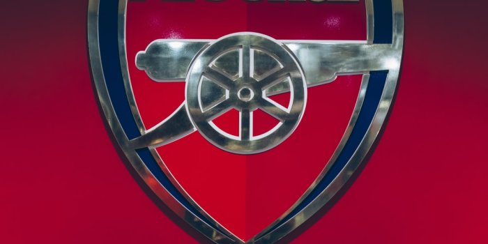 1000x1499 350+ Arsenal Pictures | Download Free Images on Unsplash