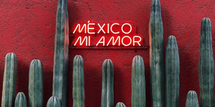 1000x1395 Mexico City, Mexico Pictures | Download Free Images on Unsplash