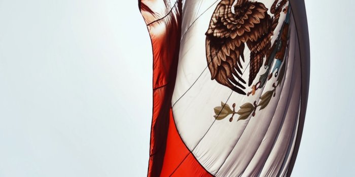 1000x1400 Best Mexican Flag Pictures [HD] | Download Free Images on Unsplash