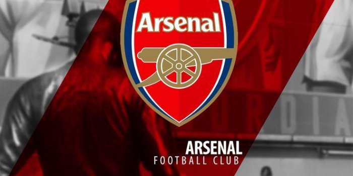 736x1308 Arsenal Wallpapers Phone