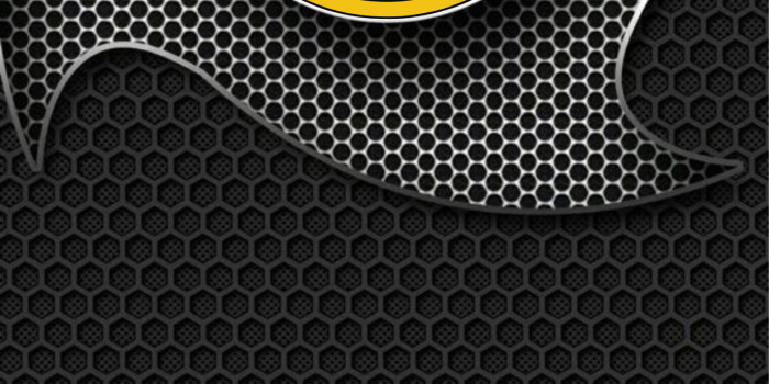 1567x3194 Steelers in 2021 | Pittsburgh steelers wallpaper, Pittsburgh steelers  football, Pittsburgh steelers