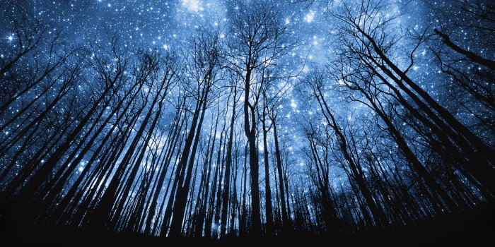 1920x1080 Night Sky Wallpaper 11303 1920x1080px