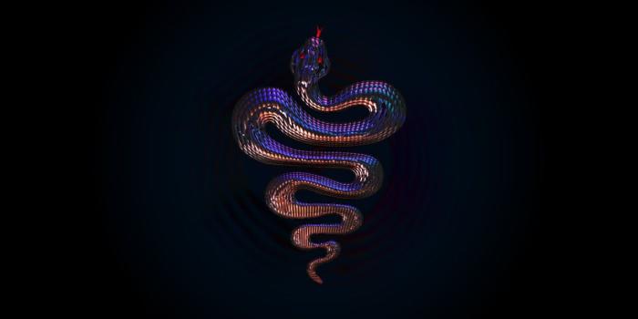 1280x1024 IPhone Snake Wallpapers HD, Desktop Backgrounds 1280×1024 Picture Of Snake  Wallpapers (57 Wallpapers) | Adorable Wallpapers