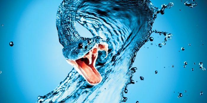 1920x1440 Cool Snake Wallpapers - Top Free Cool Snake Backgrounds - WallpaperAccess