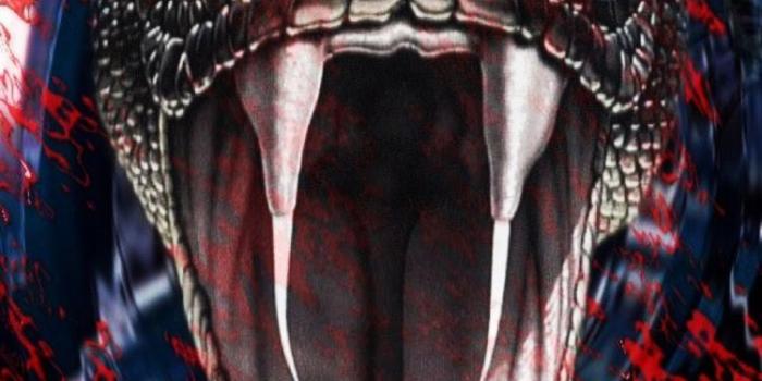 750x1334 Scary Snake Wallpapers