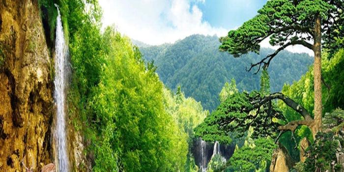 1000x1000 Mural Wallpaper Bedroom Walls 3D Waterfall Wall Painting Wallpapers Home  Decor Living Room Photo Background-260x160CM - - Amazon.com