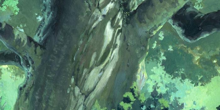 1440x2560 1440x2560 anime digital painting | iPhone X Wallpapers - iPhone X Wallpapers  HD