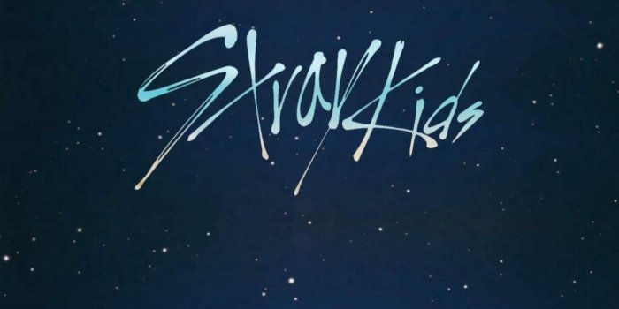 1080x1920 Stray Kids Phone Wallpapers - Top Free Stray Kids Phone Backgrounds -  WallpaperAccess