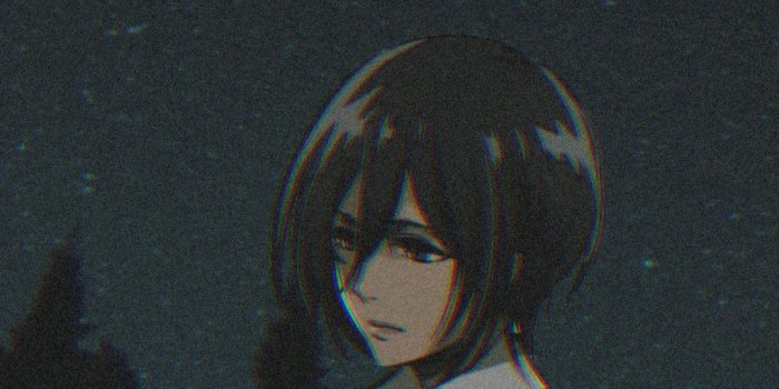 1080x2220 Mikasa attack on titan wallpaper | Attack on titan, Attack on titan anime,  Attack on titan art