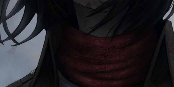 1242x2688 Mikasa iPhone Wallpapers