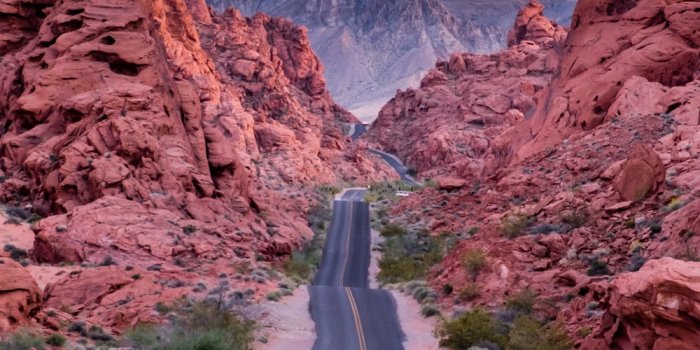 1000x1453 100+ Vertical Pictures | Download Free Images & Stock Photos on Unsplash