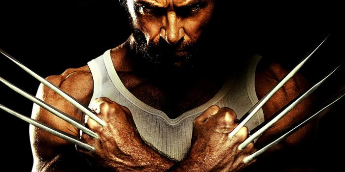 1200x900 Wolverine wallpapers HD | Download Free backgrounds