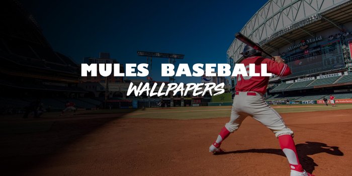 2000x1333 Baseball Wallpapers - University of Central Missouri Athletics
