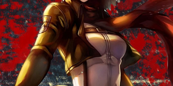 1080x1920 HD Mikasa Wallpaper - EnWallpaper