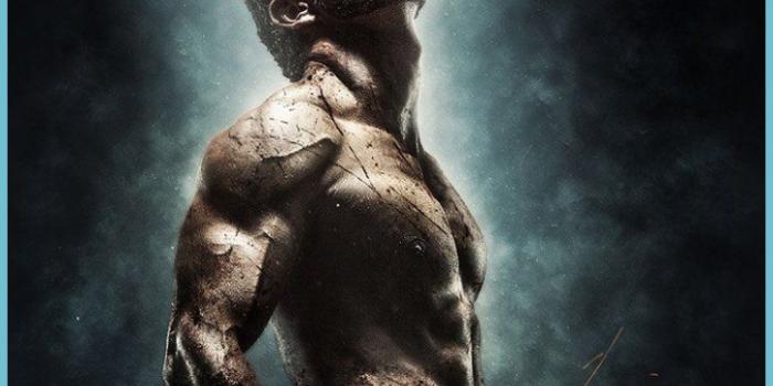 727x1293 Wolverine IPhone Wallpapers - Top Free Wolverine IPhone - Wolverine Iphone  6 Wallpaper | Neat