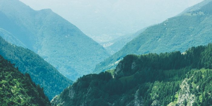 1242x2688 vertical wallpaper iPhone X Wallpapers Free Download