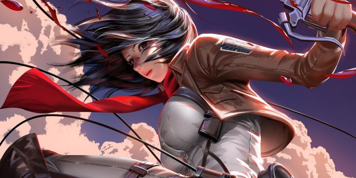 2560x1440 Desktop Wallpaper Anime, Attack On Titan, Mikasa Ackerman, Hd Image,  Picture, Background, 64df3b