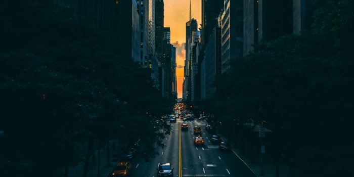 1000x1500 100+ Vertical Pictures | Download Free Images & Stock Photos on Unsplash