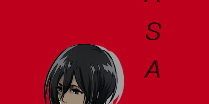 1080x2141 Mikasa Ackerman wallpaper | Mikasa anime, Attack on titan art, Attack on  titan anime