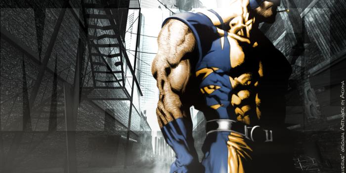 1280x1024 Free download Wolverine HD background Wolverine wallpapers [1280x1024] for  your Desktop, Mobile & Tablet | Explore 43+ Wolverine Wallpaper Full HD | X  Men Wallpaper HD, X Men Logo Wallpaper, Michigan Wolverine Desktop Wallpaper