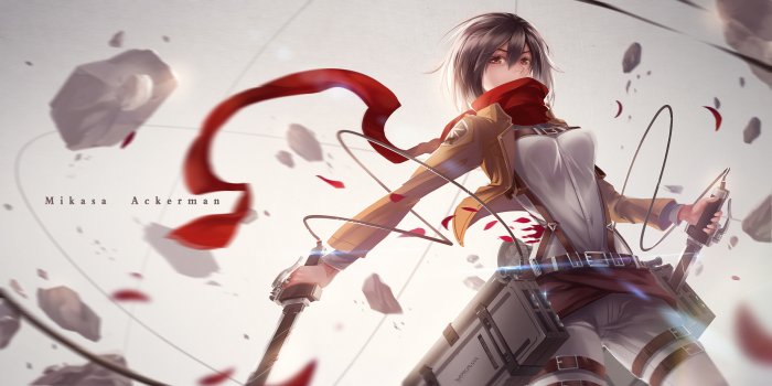 3000x1500 Mikasa Ackerman Wallpaper | 3000x1500 | ID:53762