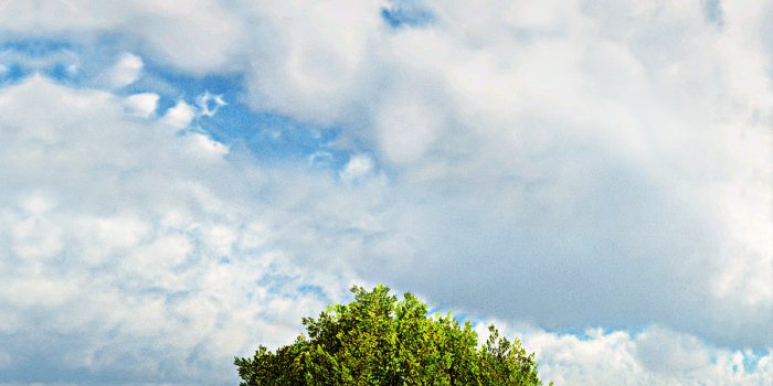 1200x1900 45+] Vertical Wallpaper on WallpaperSafari