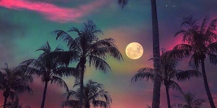 798x995 Top 50 Vertical HD Wallpapers for Mobile 900*1600 – chandrakanth