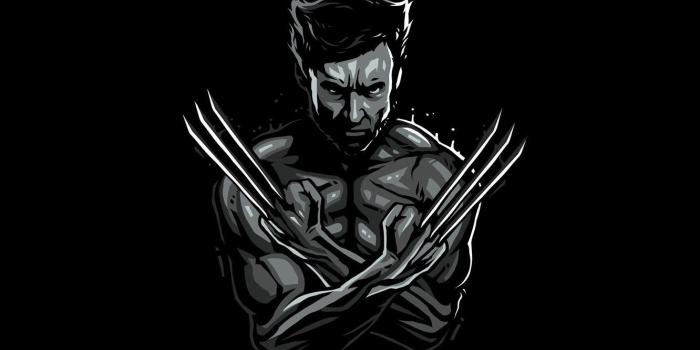 1332x850 Black Wolverine Wallpapers - 4k, HD Black Wolverine Backgrounds on  WallpaperBat