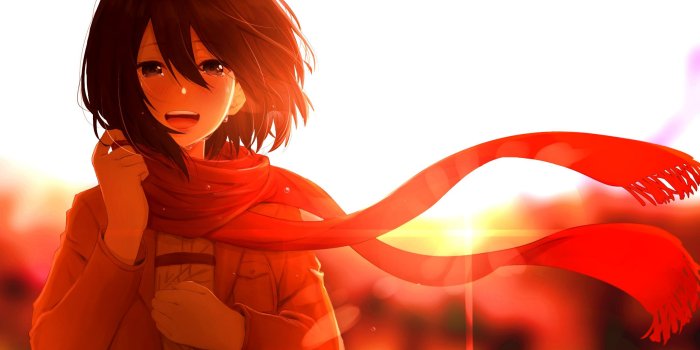 2560x1600 Mikasa HD wallpaper download