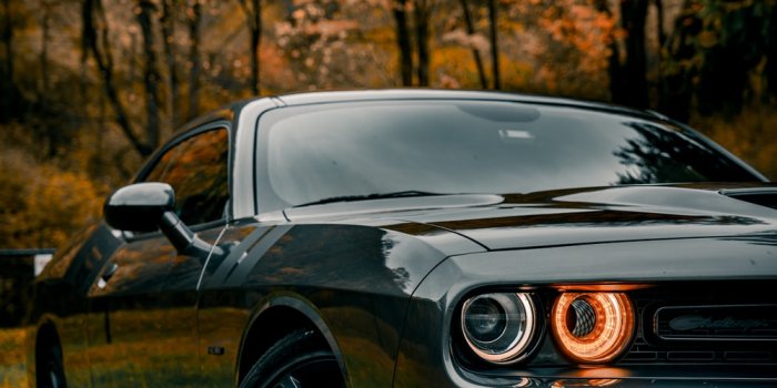 1000x1499 1000+ Dodge Challenger Pictures | Download Free Images on Unsplash