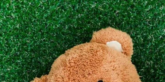 720x1185 Teddy Bear Wallpaper - iXpap