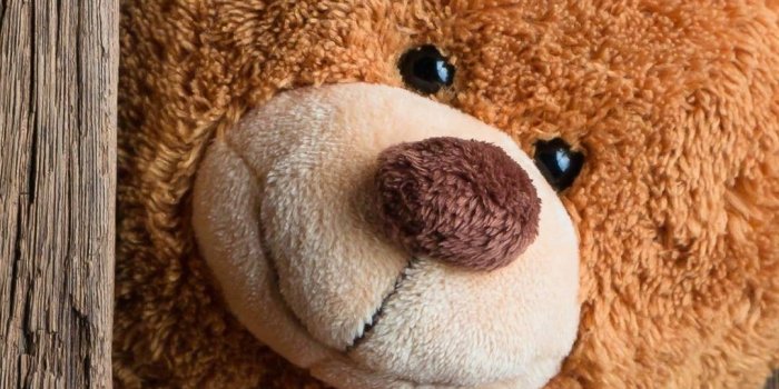 1080x1920 30 Teddy bear wallpaper ideas | teddy bear wallpaper, bear wallpaper, teddy