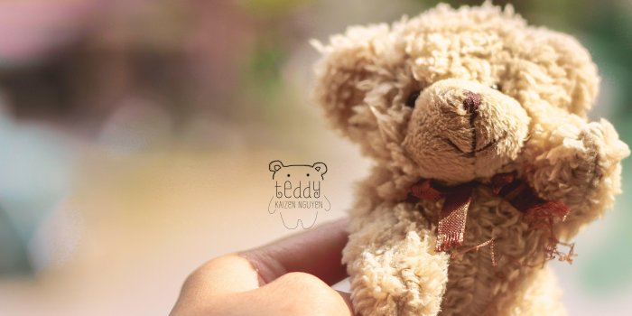 3840x2160 Teddy Bear Desktop Wallpapers