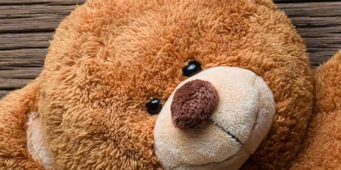 1080x1920 Teddy Bear Wallpaper - iXpap