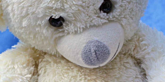 1080x1920 Blue Teddy Bear Reading - 1080x1920 Wallpaper - teahub.io