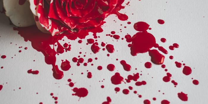 1000x1583 Best 500+ Blood Wallpapers | Download Free Images on Unsplash