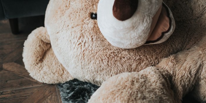 1000x1500 Best Teddy Bears Pictures [HD] | Download Free Images on Unsplash