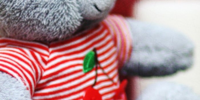 1080x1920 22 Teddy Bear iPhone Wallpapers - Wallpaperboat