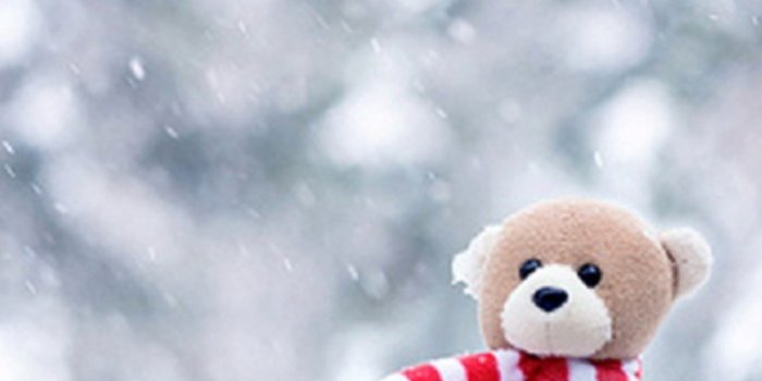 768x1024 Free download 20 Full Size Cute Teddy Bears HD Wallpapers [1280x1024] for  your Desktop, Mobile & Tablet | Explore 76+ Cute Teddy Bears Wallpapers | Teddy  Bear Wallpapers for Desktop, Love Teddy