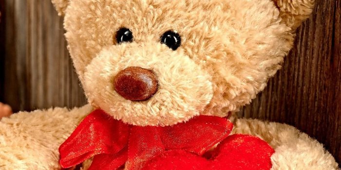 1083x1920 Teddy Bear Love Live Wallpaper - PeepsBurgh