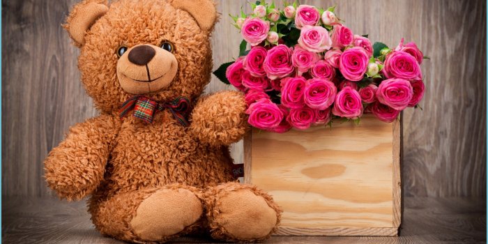 2483x1762 Cute Bear Wallpapers - Top Free Cute Bear Backgrounds - Cute Teddy Bear  Wallpaper | Neat