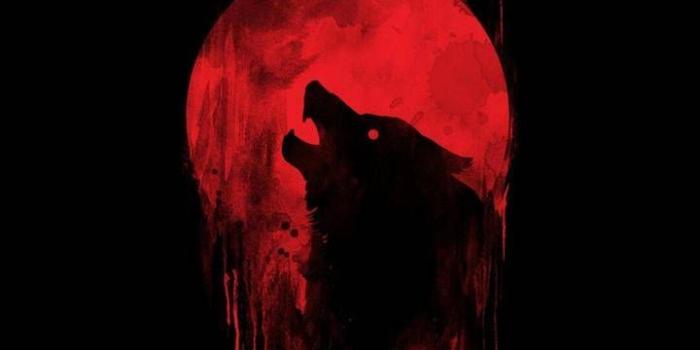 720x1280 Blood Wolf Wallpapers - Top Free Blood Wolf Backgrounds - WallpaperAccess
