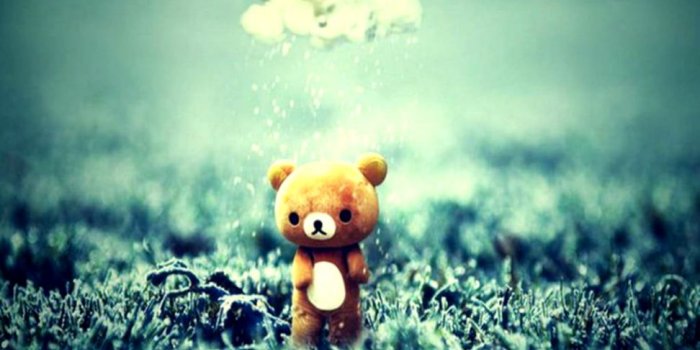 972x846 Teddy Bear Wallpapers