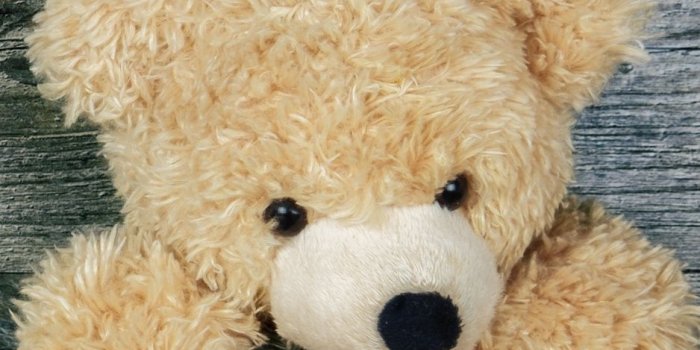 938x1668 Teddy Bear Smartphone Wallpapers - Top Free Teddy Bear Smartphone  Backgrounds - WallpaperAccess