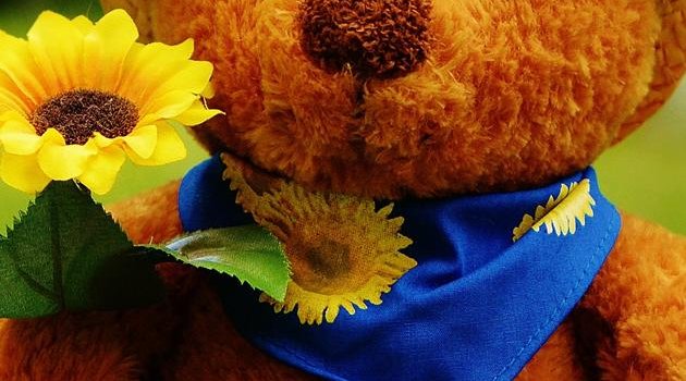 630x1280 Cute Teddy Bear wallpaper by SpliffMobile - 82b4 - Free on ZEDGE™