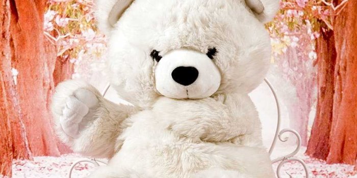 910x1364 Teddy Bear Wallpaper - iXpap