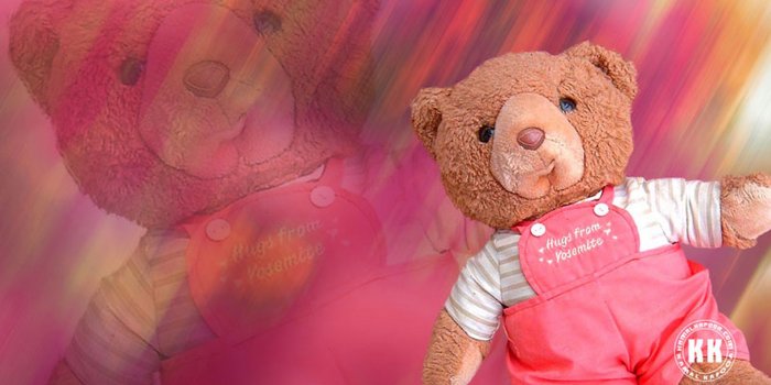 1920x1080 Teddy Bear Giant HD Wallpaper - 2021 Live Wallpaper HD