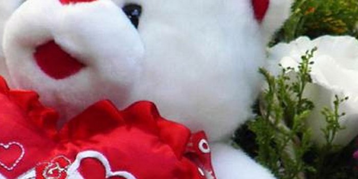 1080x1920 Wallpaper Big Teddy Bear Android - 2021 Android Wallpapers