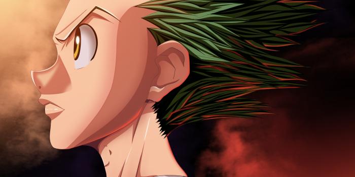 4200x3480 211454 4200x3480 Gon Freecss wallpaper free hd widescreen | Mocah HD  Wallpapers