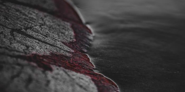 1000x1499 Best 500+ Blood Wallpapers | Download Free Images on Unsplash
